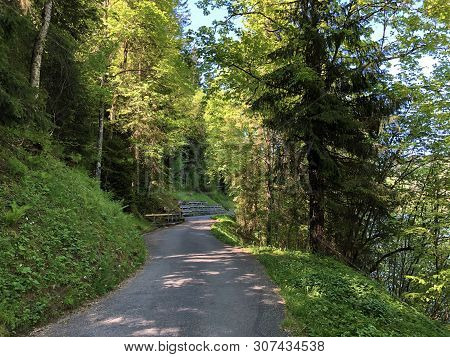 Road And Walk Through The Wagital Valley And By The Wagitalersee Or Waegitalersee Alpine Lake, Inner