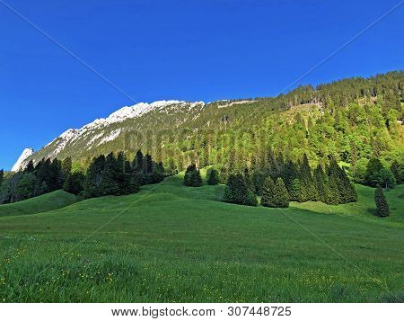 Pastures And Mixed Forests In The Valley Of Wagital Or Waegital And By The Alpine Lake Wagitalersee 