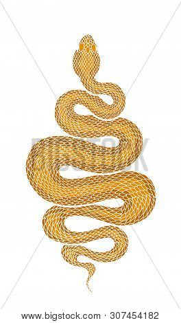 Coiled Light Brown Snake Detailed Illustration. Tribal Serpent Isolated Over White Background. Vecto