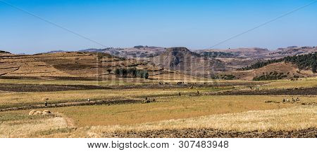 Landscape View On The Road From Gondar To The Simien Mountains, Noth Ethiopia, Africa.