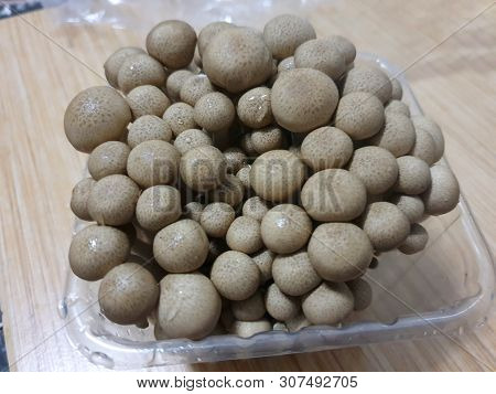 Top View Of Fresh Beech Mushroom Or Buna Shimeji In Plastic Bowl (hypsizygus Marmoreus (peck) Bigelo