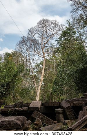 Ruins Of Ancient Beng Mealea Temple Over Jungle, Cambodia. Beng Mealea Is A Temple In The Angkor Wat