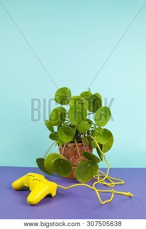 Game Of Plant