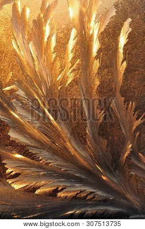 Frosty Golden Pattern On The Glass In The Form Of A Bird Feather, Illuminated By The Morning Sun In 