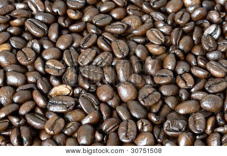 Feld aus Kaffeebohnen