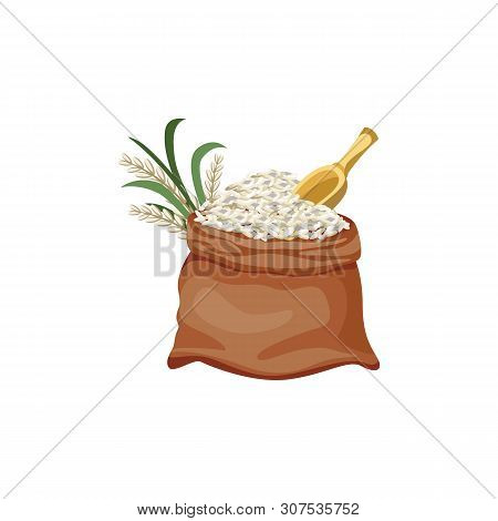 Brown Jute Sackcloth Bag Filled With White Grain And Rice Plant.