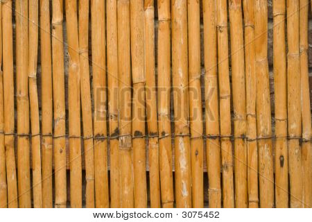 Bamboo Texture