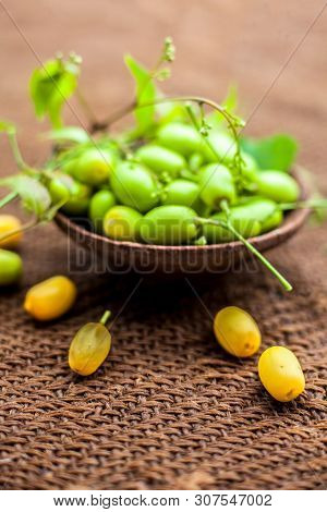 Azadirachta Indica, Commonly Known As Neem, Nimtree Or Indian Lilac, On Jute Bags Surface Along With