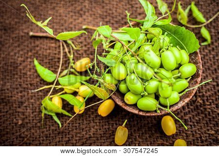 Azadirachta Indica, Commonly Known As Neem, Nimtree Or Indian Lilac, On Jute Bags Surface Along With