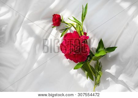 Romantic Bouquet Of Peonies On A White Bed. Red Flowers Laying On A Bedlinen.