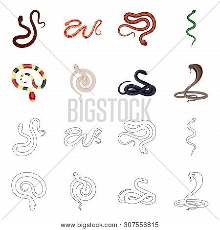 Vector Design Of Mammal And Danger Sign. Collection Of Mammal And Medicine Stock Vector Illustration