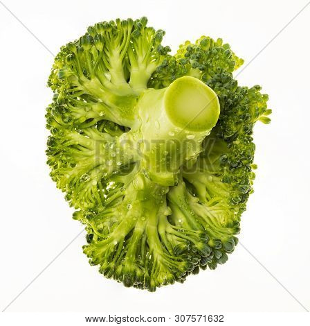 Broccoli (brécol, Brócolli, Bróqui, Broccoli Brote, Brassica Oleracea) Portion And Very Fresh (with 