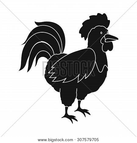 Vector Illustration Of Cock And Bird Symbol. Collection Of Cock And Husbandry Stock Vector Illustrat