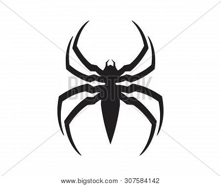 Spider Vector And Insect Animal Design Logovector And Insect Animal