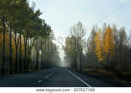 Highway In A Foggy Morning With Cars Driving Towards.
