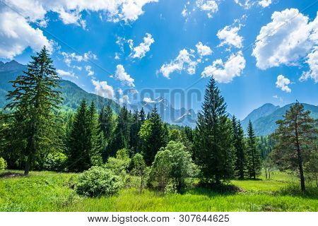 Summer Has Arrived In The Italian Alps