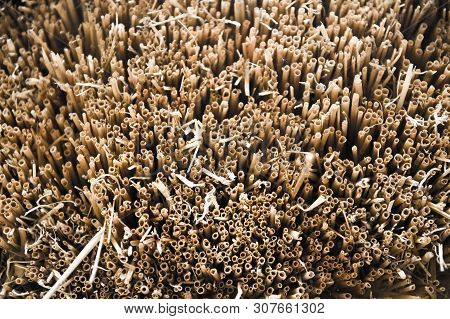 Super Thatched Roof. Macro Photo. Nature Pattern.