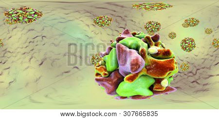 Polioviruses, 360 Degree Vr Spherical Panorama View. An Rna Virus From Picornaviridae Family That Ca