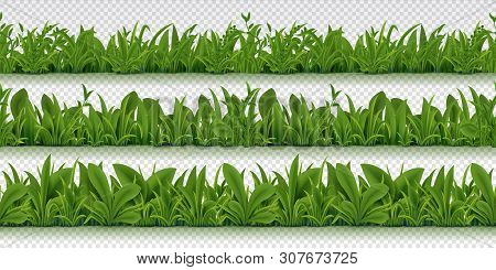 Realistic Seamless Grass Border. Spring Pattern With 3d Spring Herbs, Realistic Green Grass Backgrou