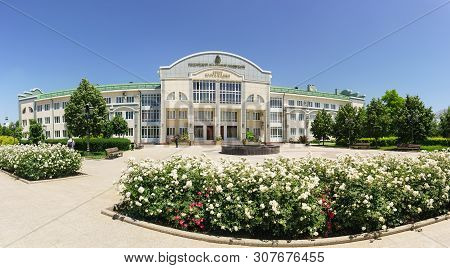 Blooming White Roses Near Kunta Haji Islamic University Of Russia. Panorama. Sign With The Name In R