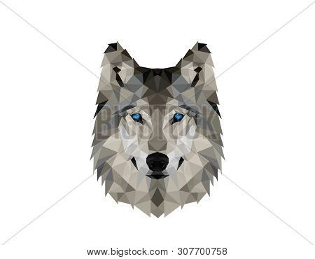 Polygonal Wolv Head Logo Design Illustration- White Background Illustartion Design