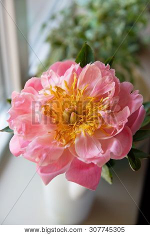 Bouquet Of Flowers On A Leg In The Interior Of The Restaurant For A Celebration Shop Floristry Or We