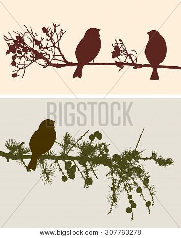 Vector Image Of Silhouettes Of Birds Sitting On The Tree Branches