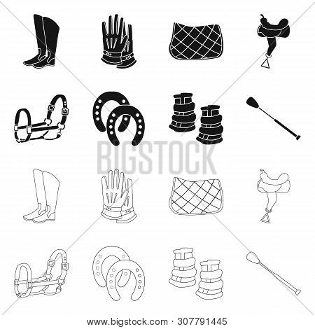Vector Illustration Of Equipment And Riding Symbol. Set Of Equipment And Competition Vector Icon For