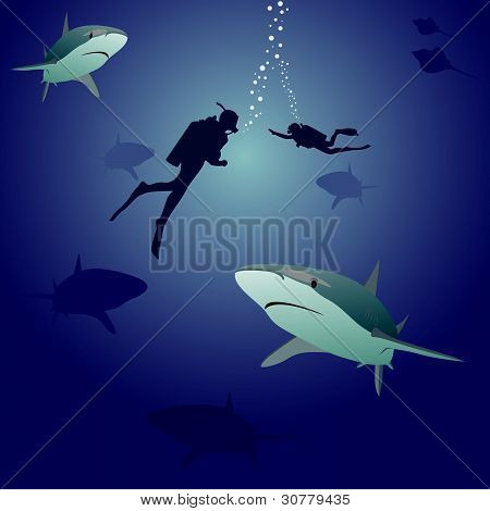 Haita ja scuba divers
