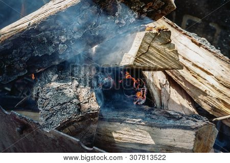 Only He Took Appeared The Fire Among The Wood-fire In The Grill