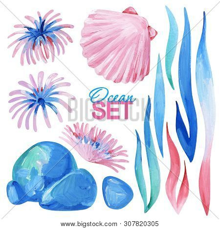 Gouache Ocean Gentle Set With Aglae, Stone And Shell