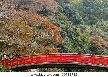 Japanse fall kleuren in mino park, Osaka, Japan