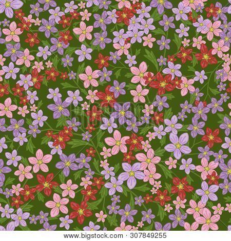 Vector Seamless Retro Pattern, Flowers Saxifrage. Fills, Wallpaper, Surface Textures.