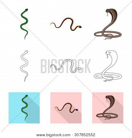 Vector Design Of Mammal And Danger Sign. Set Of Mammal And Medicine Stock Vector Illustration.