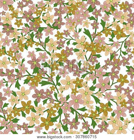 Vector Seamless Retro Pattern, Flowers Saxifrage. Fills, Wallpaper, Surface Textures.