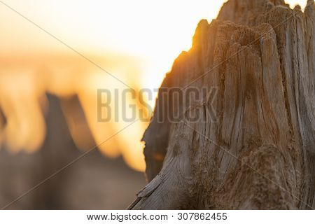 Sunset On The Kuyalnik Liman. Odessa. Ukraine. Old Logs Are Visible From The Water - The Remains Of 