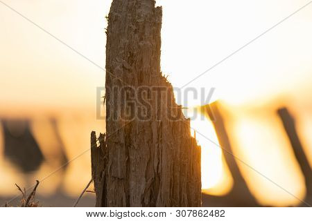 Sunset On The Kuyalnik Liman. Odessa. Ukraine. Old Logs Are Visible From The Water - The Remains Of 