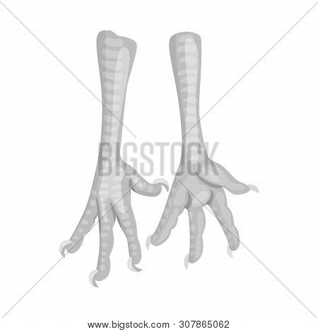 Vector Design Of Paws And Chicken Sign. Set Of Paws And Leg Vector Icon For Stock.