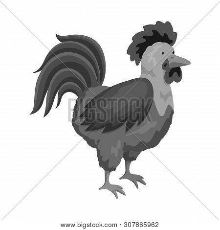 Vector Design Of Cock And Bird Symbol. Set Of Cock And Husbandry Stock Symbol For Web.