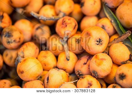 Loquat Fruit Or Japanese Medlars Background. Eriobotrya Japonica