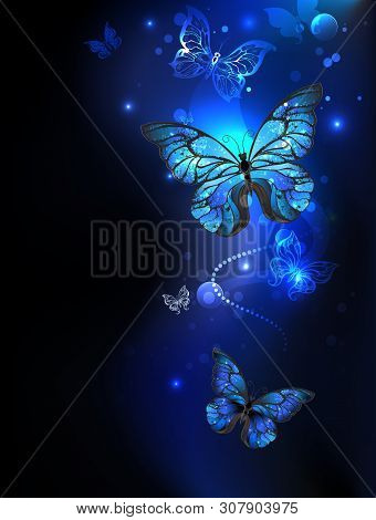 Blue, Glowing Butterflies Morpho On A Dark Background. Morpho. Design With Butterflies.