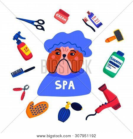 Pet Grooming Concept. Dog Spa. Bulldog Shower Cap With Grooming Elements Comb, Shampoo, Hand Dryer E
