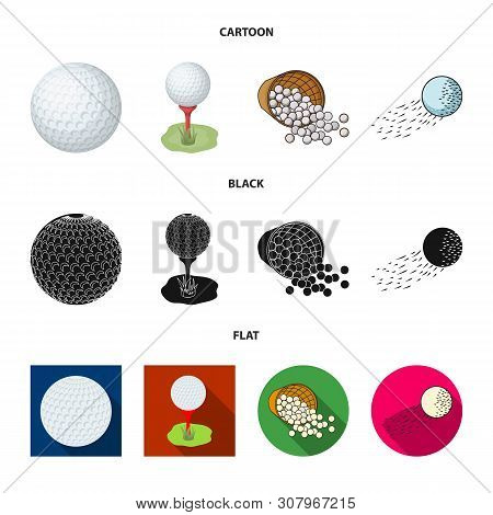 Vector Design Of Ball And Soccer Symbol. Collection Of Ball And Basketball Stock Vector Illustration