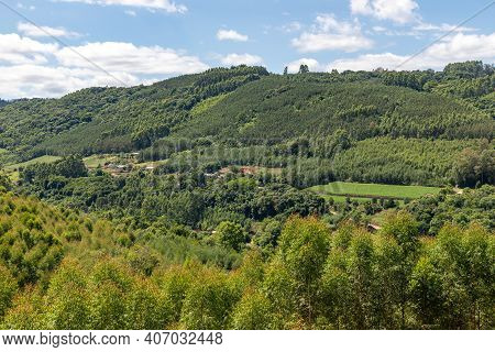 Dirty Road And Farms With Forest Around