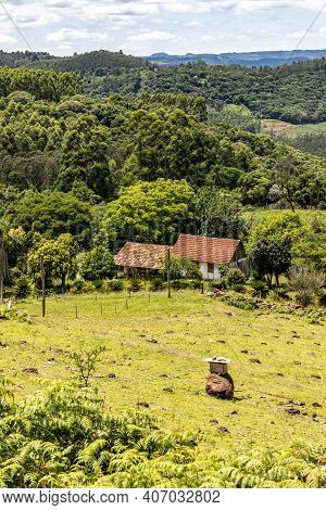 Farm With Plantation, Bees And Forest Around