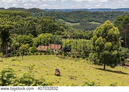 Farm With Plantation, Bees And Forest Around