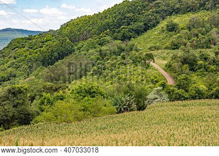Dirty Road With Farm Field And Forest Around