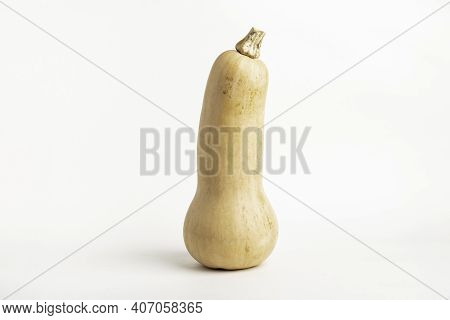 A Close-up Shot Of A Butternut Squash Set On A Plain White Background.
