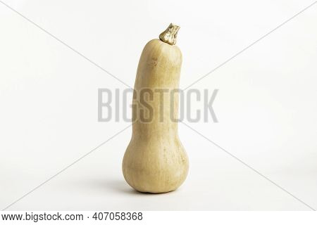 A Close-up Shot Of A Butternut Squash Set On A Plain White Background.