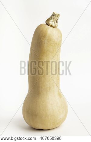 A Close-up Shot Of A Butternut Squash Set On A Plain White Background.